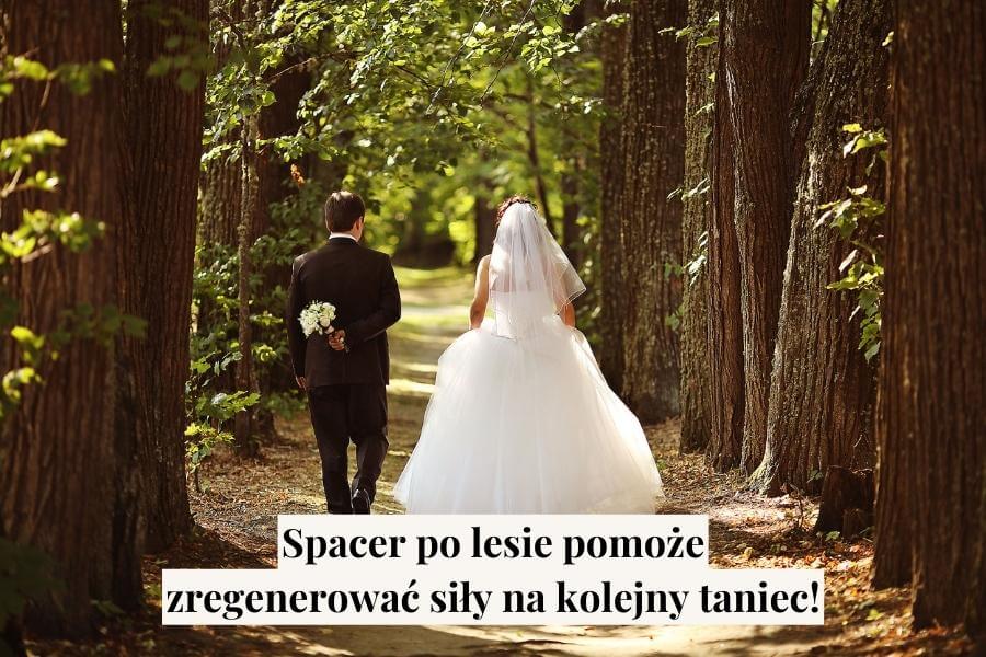 Spacer po lesie pomoże zregenerować siły na kolejny taniec!
